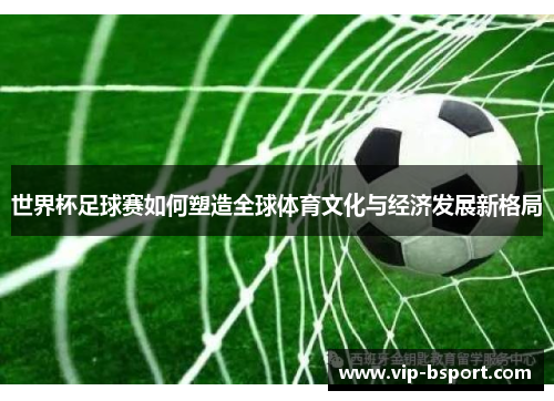 世界杯足球赛如何塑造全球体育文化与经济发展新格局