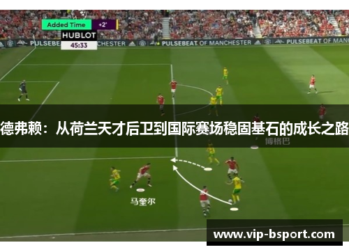 德弗赖：从荷兰天才后卫到国际赛场稳固基石的成长之路