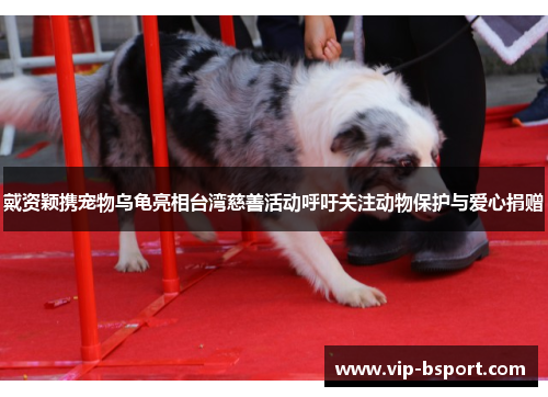 戴资颖携宠物乌龟亮相台湾慈善活动呼吁关注动物保护与爱心捐赠
