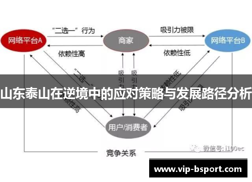 山东泰山在逆境中的应对策略与发展路径分析