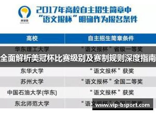 全面解析美冠杯比赛级别及赛制规则深度指南